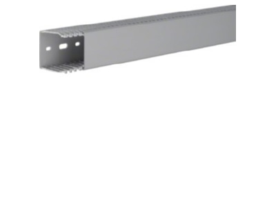 Product image 1 Tehalit LKG 50050 gr Slotted cable trunking system 50x50mm
