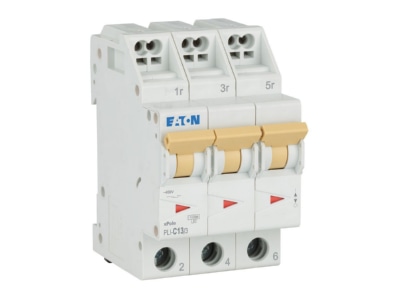 Ansicht rechts Eaton PLI C13 3 Leitungsschutzschalter C 13A  3p Steckkl 