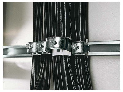 Detailansicht Rittal DK 7097 300  VE25  Schelle 30 34mm DK 7097 300  Inhalt  25 