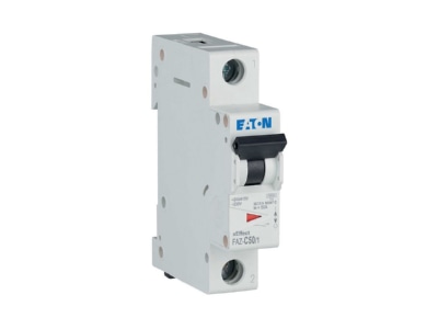 View right 2 Eaton FAZ C50 1 Miniature circuit breaker 1 p C50A