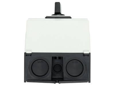 View below 1 Eaton T3 2 8400 I2 Off load switch 2 p 32A
