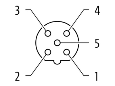 Circuit diagram Murrelektronik 7000 14021 0000000 Circular connector for field assembly
