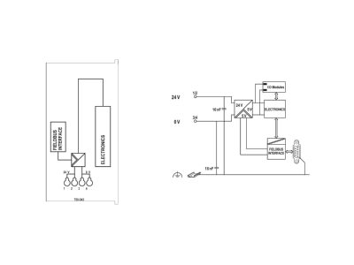 Schaltbild WAGO 750 343 Feldbuskoppler Profibus DP ECO