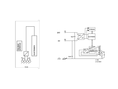 Schaltbild WAGO 750 346 Feldbuskoppler Devicenet Eco