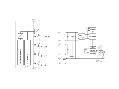 Schaltbild WAGO 750 806 Feldbuscontroller DeviceNet 125 500kB