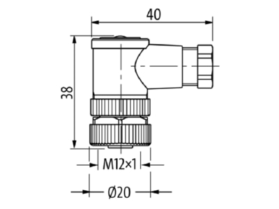 Dimensional drawing Murrelektronik 7000 12981 0000000 Circular connector for field assembly