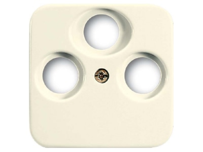 Product image Busch Jaeger 1743 03 212 Control element
