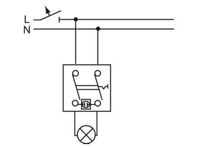 Wiring plan Busch Jaeger 2000 2 UK 2 pole switch flush mounted blue

