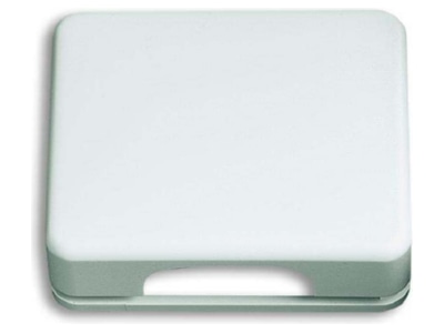 Product image Busch Jaeger 1746 24G 101 Cover plate
