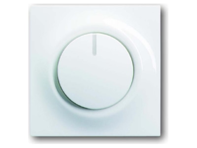 Produktbild Busch Jaeger 6540 74 Zentralscheibe ws fuer Drehdimmer