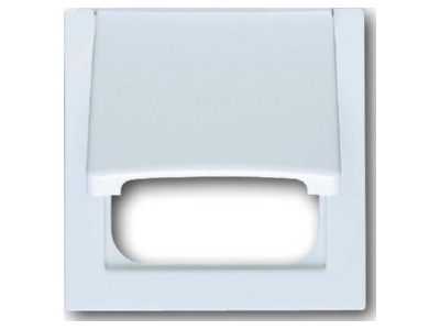 Product image Busch Jaeger 1746 74 Cover plate
