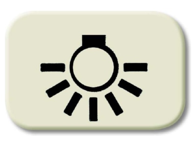 Produktbild Busch Jaeger 2525 LI Tastersymbol Licht