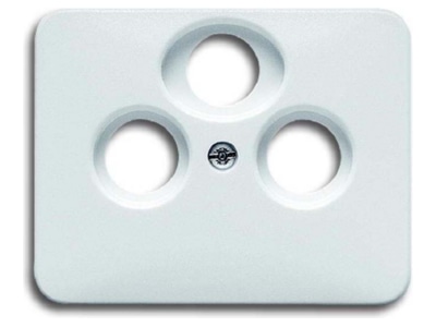 Produktbild Busch Jaeger 1743 03 24G Zentralscheibe sws m 3Anschl Rad TV SAT