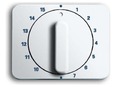 Product image Busch Jaeger 1770 24G 101 Cover plate for time switch white

