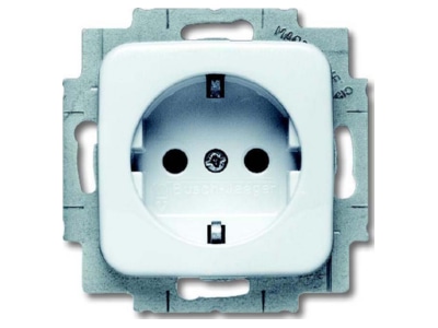 Product image Busch Jaeger 20 EUCKS 214 Socket insert with increased contact protection  alpine white 
