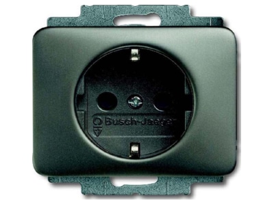 Product image Busch Jaeger 20 EUCKS 20 Socket outlet  receptacle 
