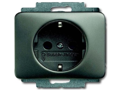 Product image Busch Jaeger 20 EUC 20 Socket outlet  receptacle 
