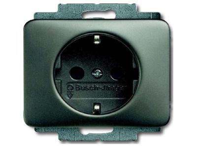 Produktbild Busch Jaeger 20 EUC 20 Steckdosen Einsatz pla m Steckanschluss