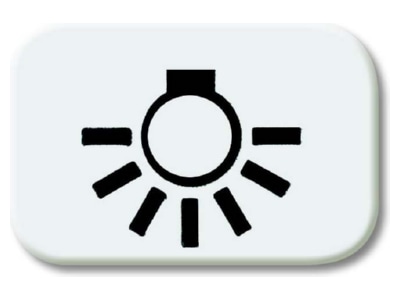 Produktbild Busch Jaeger 2525 LI 214 Tastersymbol aws Licht
