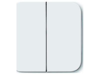 Product image Busch Jaeger 2545 214 Cover plate for switch push button white
