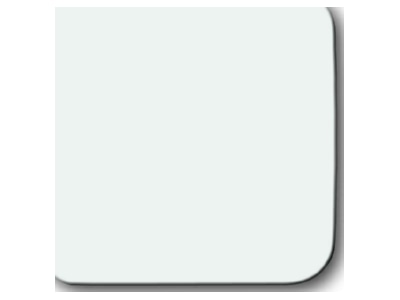 Product image Busch Jaeger 2506 O 214 Cover plate for switch push button white
