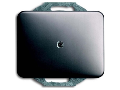 Product image Busch Jaeger 1742 20 Control element blind cover
