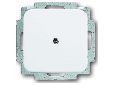 Product image Busch Jaeger 2538 214 Control element blind cover
