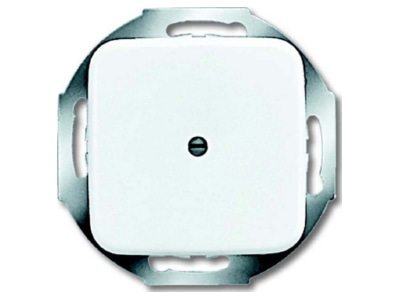 Produktbild Busch Jaeger 2527 214 Zentralscheibe aws fuer Leitungsauslass