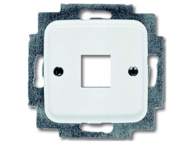 Produktbild Busch Jaeger 2561 214 Zentralscheibe aws fuer 1 Modular Jack