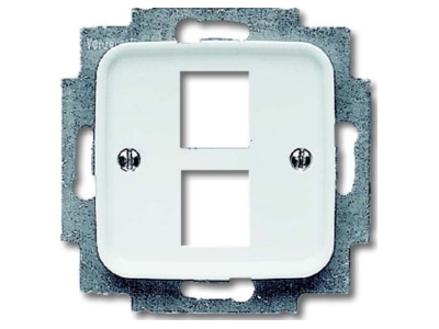 Produktbild Busch Jaeger 2561 02 214 Zentralscheibe aws fuer 2 Modular Jack