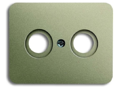 Produktbild Busch Jaeger 1743 260 Zentralscheibe pall f Antennendose 2Loch
