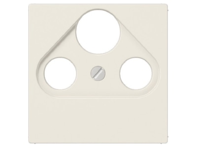 Product image Jung A 561 PLSAT Plate SAT
