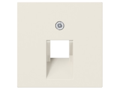 Product image Jung A 569 1 PLUA Plate UAE IAE  ISDN 
