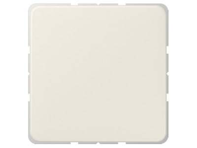 Product image Jung 594 0 Cover plate for Blind plate cream white
