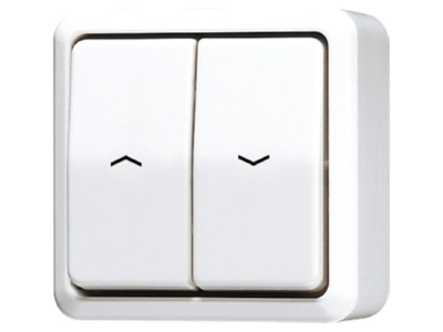 Product image Jung 639 VA WW 1 pole push button for roller shutter
