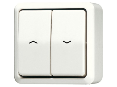 Product image Jung 639 VA 1 pole push button for roller shutter
