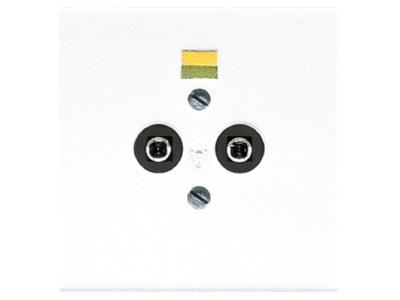 Product image Jung LS 965 2 WW Grounding receptacle
