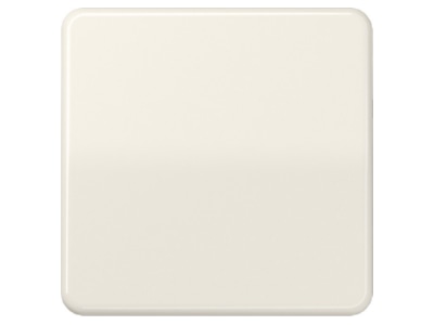 Product image Jung CD 590 Cover plate for switch push button
