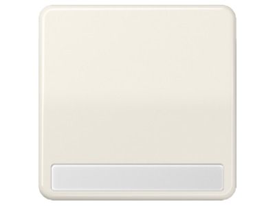 Product image Jung CD 590 NA Cover plate for switch push button
