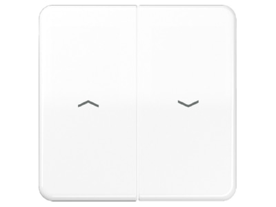 Product image Jung CD 595 P WW Cover plate for venetian blind white
