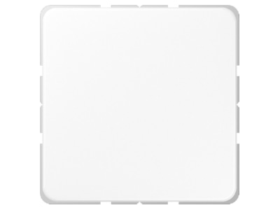 Produktbild Jung CD 594 0 WW Blind Abdeckung aws kompl mit Tragring