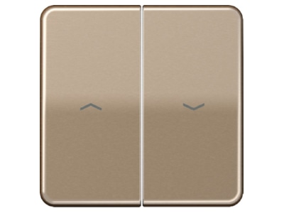 Product image Jung CD 595 P GB Cover plate for venetian blind bronze
