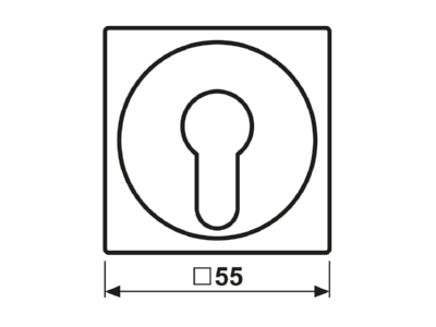 Ma�zeichnung Jung A 528 PL WW Abdeckung aws fuer Schluesselschalt 