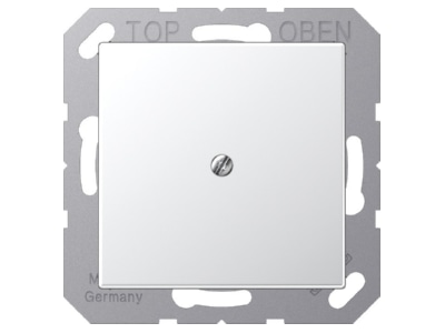 Product image Jung A 590 A AL Basic element with central cover plate
