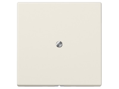 Product image Jung LS 990 A Basic element with central cover plate
