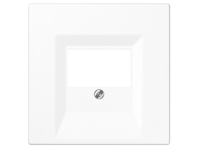 Product image Jung LS 969 T WW Plate TAE
