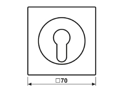Ma�zeichnung Jung LS 928 WW Abdeckung aws fuer Schluesselschalt 