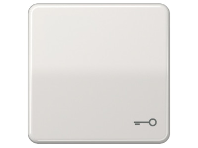 Product image Jung CD 590 T LG Cover plate for switch push button grey
