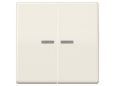 Product image Jung AS 591 5 KO5 Cover plate for switch push button

