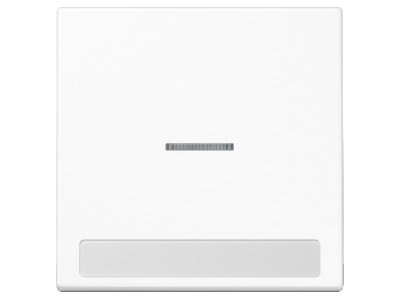 Product image Jung LS 990 NAKO5 WW Cover plate for switch push button white
